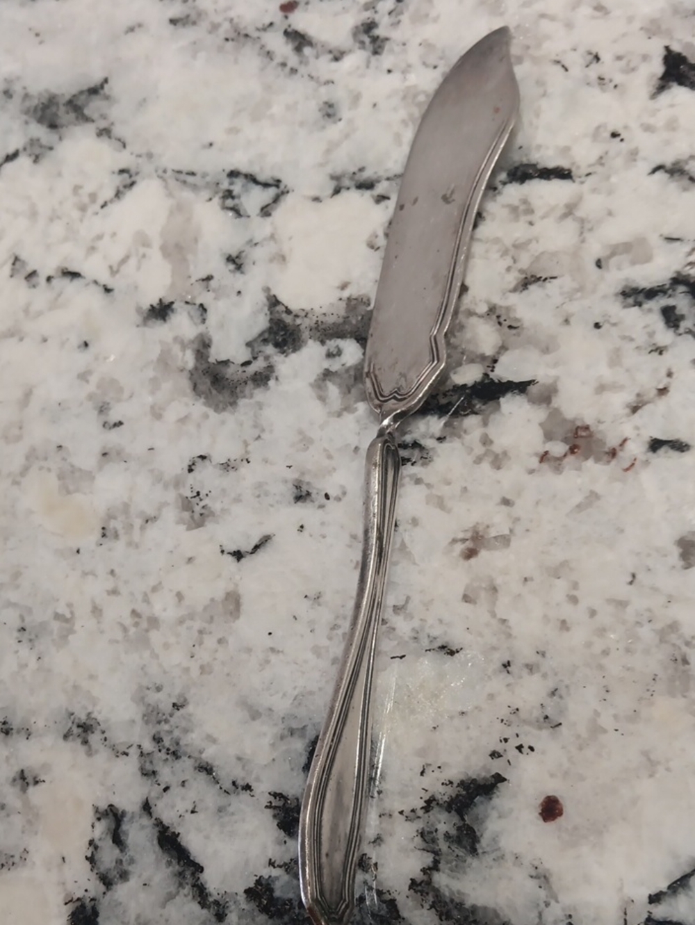 Vintage Wm Rodgers Silverplate Butter Knife
